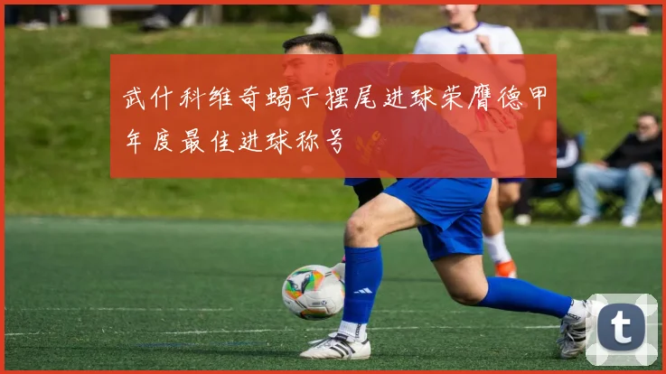 武什科维奇蝎子摆尾进球荣膺德甲年度最佳进球称号