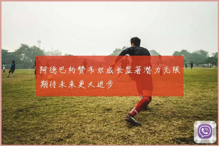 阿德巴约赞韦尔成长显著潜力无限期待未来更大进步