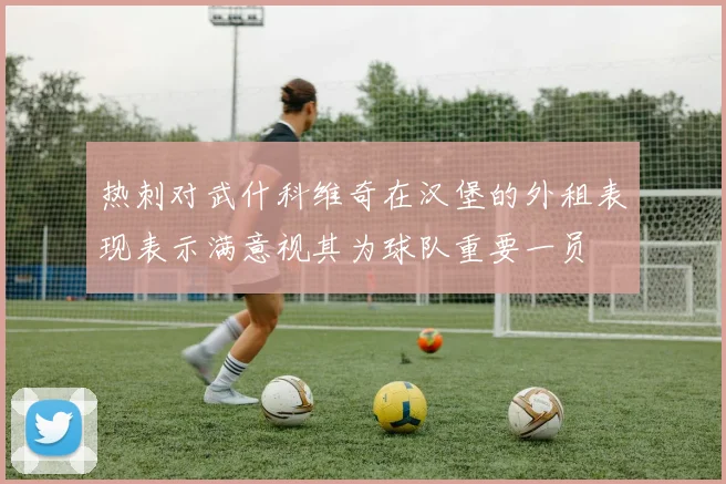 热刺对武什科维奇在汉堡的外租表现表示满意视其为球队重要一员